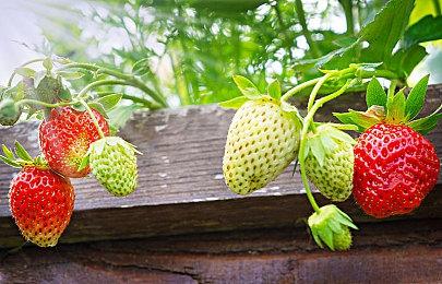 《Blockbuster Inc.》序章Steam免费发布 电影公司经营管理